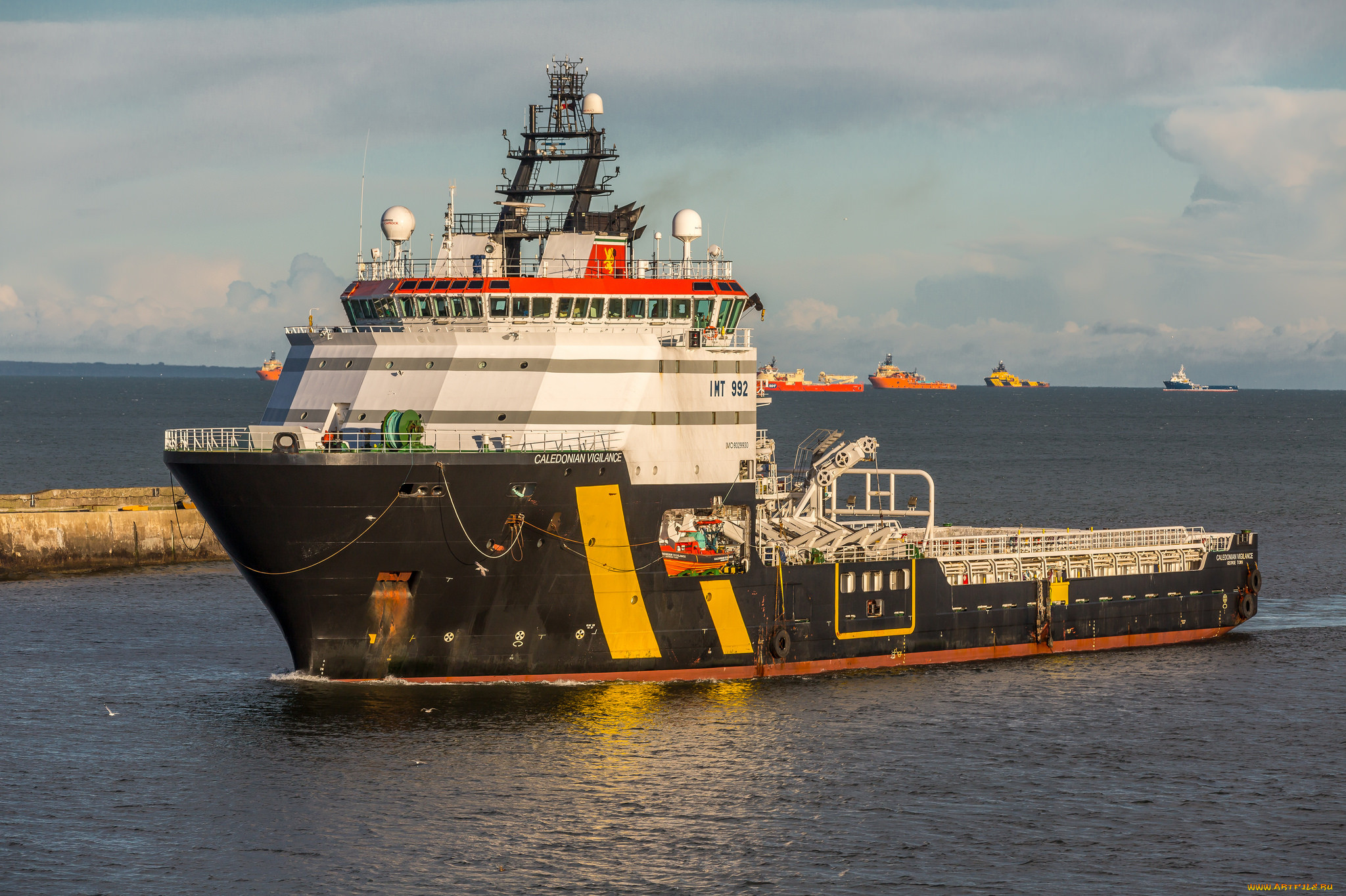 caledonian vigilance, , , , , 